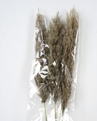 Dried Flowers 21*8*110CM Dried natural items bouquet with PP wrapped(3PCS/bouquet, H:110CM) GS-56621112JJA-K1 Bouquet YeahFlower is one of Chinese leading OEM manufacturers and exporters , supplying the silk flowers, wholesale artificial trees