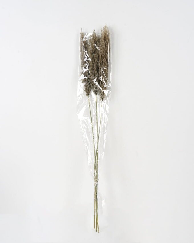 Dried Flowers 21*8*110CM Dried natural items bouquet with PP wrapped(3PCS/bouquet, H:110CM) GS-56621112JJA-K1 Bouquet YeahFlower is one of Chinese leading OEM manufacturers and exporters , supplying the silk flowers, wholesale artificial trees