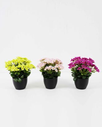 Artificial Flower 22*22*24cm Azalea in PP pot GS-03321164 Potted Flowers&Plants YeahFlower is one of Chinese leading OEM manufacturers and exporters , supplying the silk flowers, wholesale artificial trees Artificial Flower 22*22*24cm Azalea in PP pot GS-03321164 Potted Flowers&Plants YeahFlower is one of Chinese leading OEM manufacturers and exporters , supplying the silk flowers, wholesale artificial trees