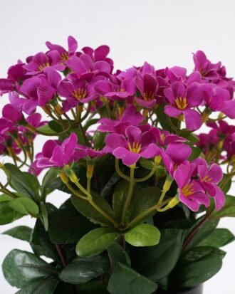 Artificial Flower 22*22*24cm Azalea in PP pot GS-03321164 Potted Flowers&Plants YeahFlower is one of Chinese leading OEM manufacturers and exporters , supplying the silk flowers, wholesale artificial trees Artificial Flower 22*22*24cm Azalea in PP pot GS-03321164 Potted Flowers&Plants YeahFlower is one of Chinese leading OEM manufacturers and exporters , supplying the silk flowers, wholesale artificial trees