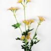 Artificial Flower 15*83cm Daisy spray*13 GS-26221085 Single Flowers YeahFlower is one of Chinese leading OEM manufacturers and exporters , supplying the silk flowers, wholesale artificial trees