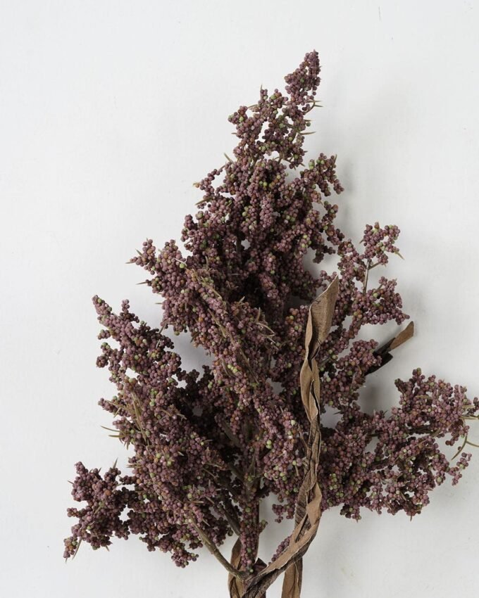 Artificial Flower 17*82cm Dried sorghum GS-30021003-Z1 Dried Flowers YeahFlower is one of Chinese leading OEM manufacturers and exporters , supplying the silk flowers, wholesale artificial trees