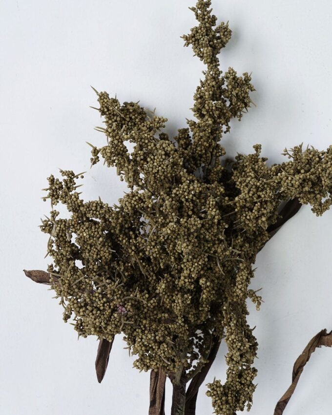 Artificial Flower 17*82cm Dried sorghum GS-30021003 Dried Flowers YeahFlower is one of Chinese leading OEM manufacturers and exporters , supplying the silk flowers, wholesale artificial trees