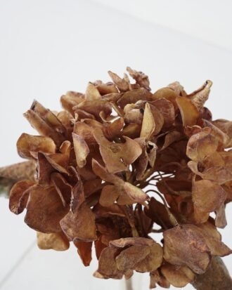 Artificial Flower 22*16*32cm Hydrangea in Dired effect GS-66221001-Y2 Single Flowers YeahFlower is one of Chinese leading OEM manufacturers and exporters , supplying the silk flowers, wholesale artificial trees