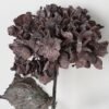 Artificial Flower 20*70cm Hydrangea in Dired effect GS-66221006 Single Flowers YeahFlower is one of Chinese leading OEM manufacturers and exporters , supplying the silk flowers, wholesale artificial trees