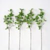 Artificial Flower 22*78cm Kwai Leaves with berry(L) GS-26221105-R1 Single Flowers YeahFlower is one of Chinese leading OEM manufacturers and exporters , supplying the silk flowers, wholesale artificial trees