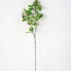 Artificial Flower 22*78cm Kwai Leaves with berry(L) GS-26221105-R1 Single Flowers YeahFlower is one of Chinese leading OEM manufacturers and exporters , supplying the silk flowers, wholesale artificial trees