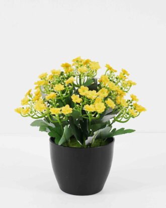 Artificial Flower 20*20*23cm Milan in PP pot GS-03321161-Y1 Potted Flowers&Plants YeahFlower is one of Chinese leading OEM manufacturers and exporters , supplying the silk flowers, wholesale artificial trees