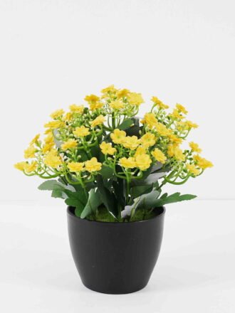 Artificial Plant 24*23*26cm Grass in pp pot GS-06920081 Potted Flowers&Plants YeahFlower is one of Chinese leading OEM manufacturers and exporters , supplying the silk flowers, wholesale artificial trees
