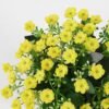 Artificial Flower 20*20*23cm Milan in PP pot GS-03321161-Y1 Potted Flowers&Plants YeahFlower is one of Chinese leading OEM manufacturers and exporters , supplying the silk flowers, wholesale artificial trees
