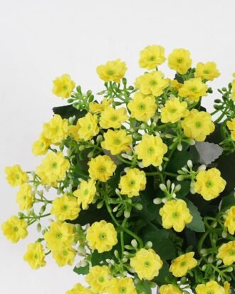 Artificial Flower 20*20*23cm Milan in PP pot GS-03321161-Y1 Potted Flowers&Plants YeahFlower is one of Chinese leading OEM manufacturers and exporters , supplying the silk flowers, wholesale artificial trees