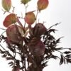 Artificial Flower 36*68cm Money leaves Bouquet*5 GS-26221094-R1 Bouquet 3,000+ sqm showroom with thousands of artificial flowers, plants & trees ready for global sourcing.