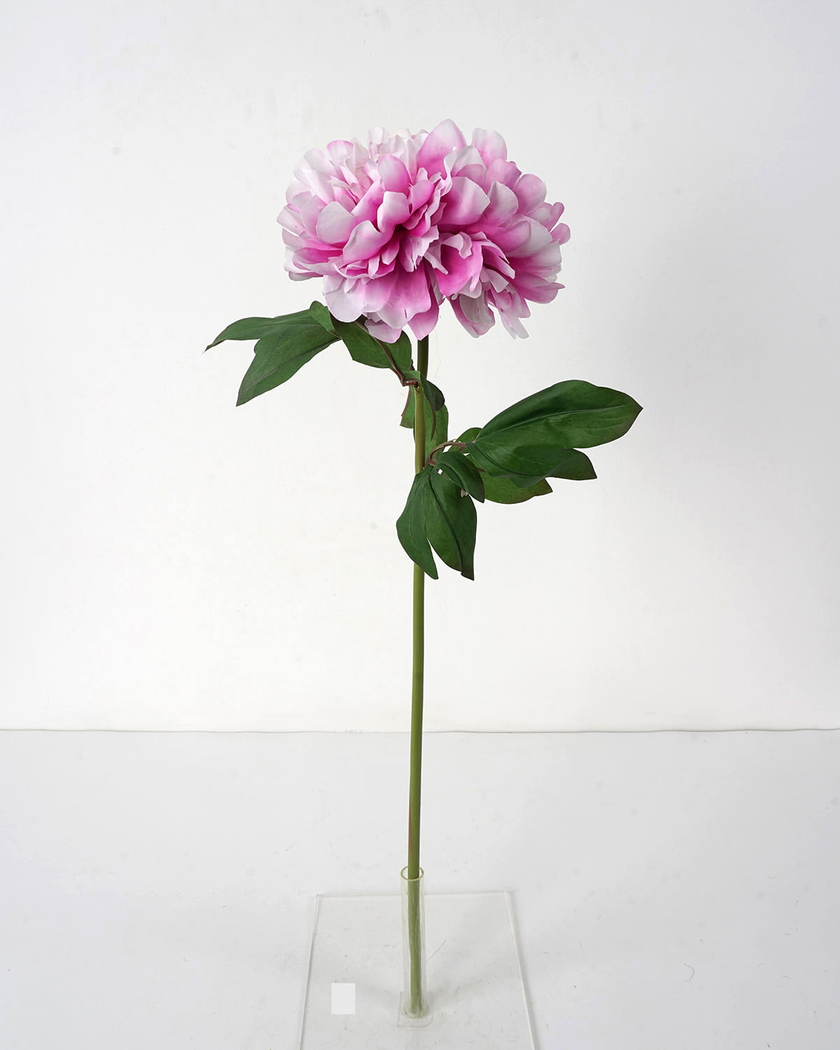 24 Peony Silk Flower Stem