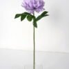 Artificial Flower 24*72cm New Peony single stem GS-26221081-R3 Single Flowers YeahFlower is one of Chinese leading OEM manufacturers and exporters , supplying the silk flowers, wholesale artificial trees