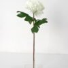 Artificial Flower 24*72cm New Peony single stem GS-26221081-R3 Single Flowers YeahFlower is one of Chinese leading OEM manufacturers and exporters , supplying the silk flowers, wholesale artificial trees