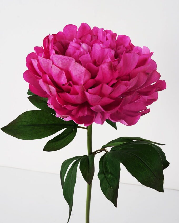 Artificial Flower 24*72cm New Peony single stem GS-26221081-R3 Single Flowers YeahFlower is one of Chinese leading OEM manufacturers and exporters , supplying the silk flowers, wholesale artificial trees