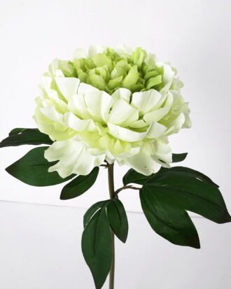 Artificial Flower 24*72cm New Peony single stem GS-26221081 Single Flowers YeahFlower is one of Chinese leading OEM manufacturers and exporters , supplying the silk flowers, wholesale artificial trees Artificial Flower 24*72cm New Peony single stem GS-26221081 Single Flowers YeahFlower is one of Chinese leading OEM manufacturers and exporters , supplying the silk flowers, wholesale artificial trees