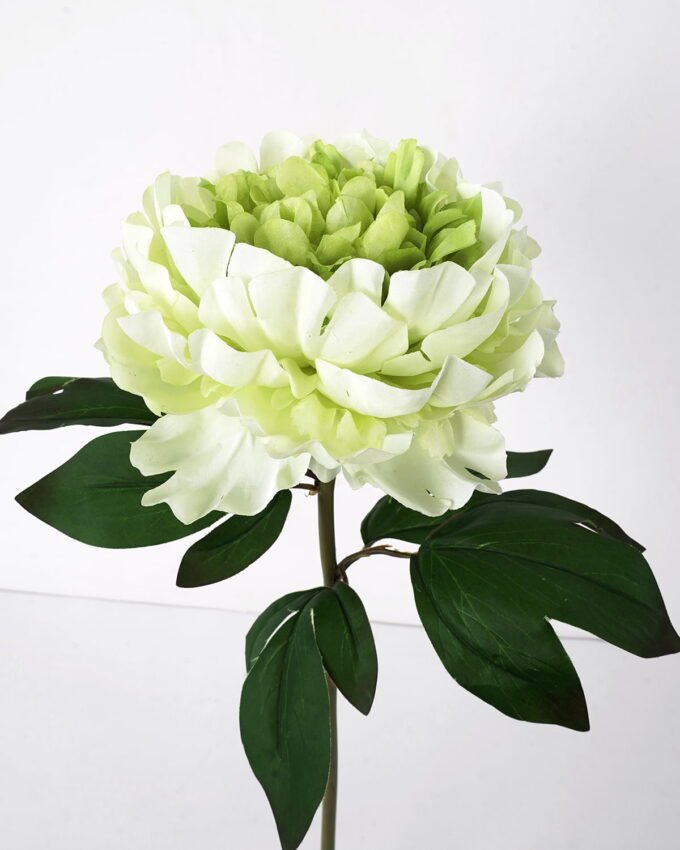 Artificial Flower 24*72cm New Peony single stem GS-26221081 Single Flowers YeahFlower is one of Chinese leading OEM manufacturers and exporters , supplying the silk flowers, wholesale artificial trees