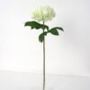 Artificial Flower 24*72cm New Peony single stem GS-26221081 Single Flowers YeahFlower is one of Chinese leading OEM manufacturers and exporters , supplying the silk flowers, wholesale artificial trees