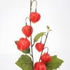 Artificial Flower Physalis alkekengi spray 2 GS-16821021-R1_1 Artificial Flower 21*61cm Physalis alkekengi spray*2 GS-16821021-R1 Single Flowers YeahFlower is one of Chinese leading OEM manufacturers and exporters , supplying the silk flowers, wholesale artificial trees