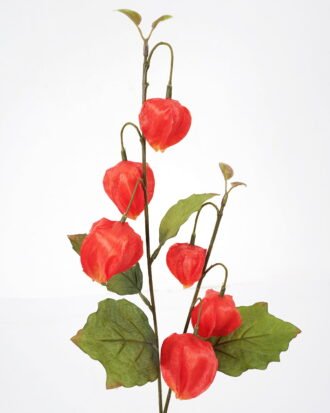 Artificial Flower 21*61cm Physalis alkekengi spray*2 GS-16821021-R1 Single Flowers YeahFlower is one of Chinese leading OEM manufacturers and exporters , supplying the silk flowers, wholesale artificial trees Artificial Flower 21*61cm Physalis alkekengi spray*2 GS-16821021-R1 Single Flowers YeahFlower is one of Chinese leading OEM manufacturers and exporters , supplying the silk flowers, wholesale artificial trees