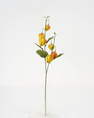 Artificial Flower 21*61cm Physalis alkekengi spray*2 GS-16821021-Y1 Single Flowers YeahFlower is one of Chinese leading OEM manufacturers and exporters , supplying the silk flowers, wholesale artificial trees Artificial Flower 21*61cm Physalis alkekengi spray*2 GS-16821021-Y1 Single Flowers YeahFlower is one of Chinese leading OEM manufacturers and exporters , supplying the silk flowers, wholesale artificial trees