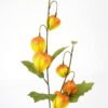 Artificial Flower 21*61cm Physalis alkekengi spray*2 GS-16821021-Y1 Single Flowers YeahFlower is one of Chinese leading OEM manufacturers and exporters , supplying the silk flowers, wholesale artificial trees