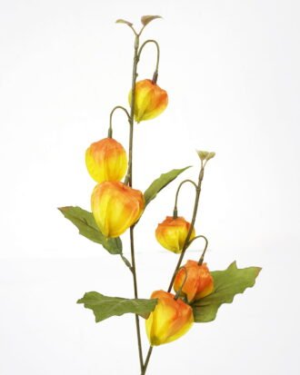 Artificial Flower 21*61cm Physalis alkekengi spray*2 GS-16821021-Y1 Single Flowers YeahFlower is one of Chinese leading OEM manufacturers and exporters , supplying the silk flowers, wholesale artificial trees Artificial Flower 21*61cm Physalis alkekengi spray*2 GS-16821021-Y1 Single Flowers YeahFlower is one of Chinese leading OEM manufacturers and exporters , supplying the silk flowers, wholesale artificial trees