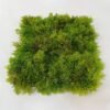 Artificial Grass 25cm * 25cm Fireproof moss carpet GS-45621024 Grass&PLANT YeahFlower is one of Chinese leading OEM manufacturers and exporters , supplying the silk flowers, wholesale artificial trees