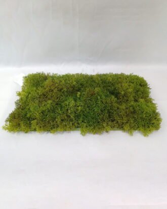Artificial Grass 25cm * 50cm firproof moss carpet GS-45621026 Grass&PLANT YeahFlower is one of Chinese leading OEM manufacturers and exporters , supplying the silk flowers, wholesale artificial trees Artificial Grass 25cm * 50cm firproof moss carpet GS-45621026 Grass&PLANT YeahFlower is one of Chinese leading OEM manufacturers and exporters , supplying the silk flowers, wholesale artificial trees