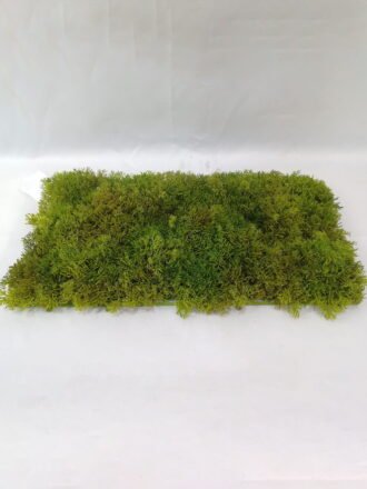 Artificial Grass 50*50*120cm Grass in pp pot GS-61921038 Grass&PLANT 3,000+ sqm showroom with thousands of artificial flowers, plants & trees ready for global sourcing.