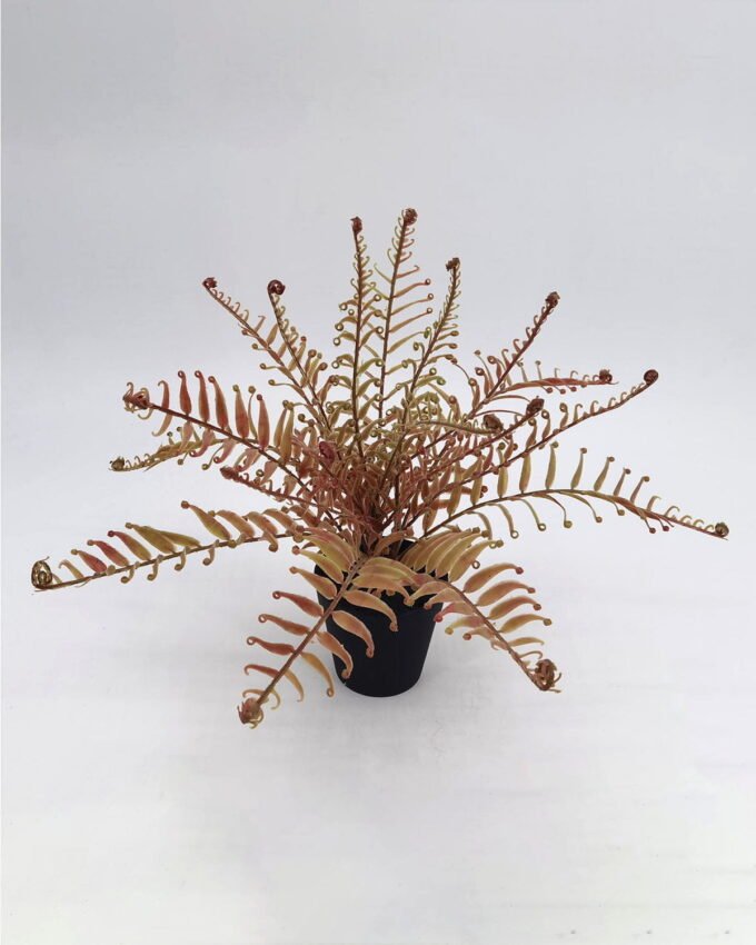 Artificial Plant 40cm fern  bush * 42lvs GS-45621007 Potted Flowers&Plants YeahFlower is one of Chinese leading OEM manufacturers and exporters , supplying the silk flowers, wholesale artificial trees