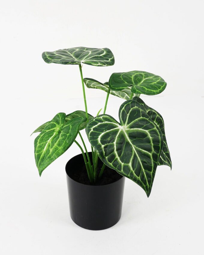 Artificial Plant 27*27*29cm Anthurium in pot GS-14521093 Potted Flowers&Plants YeahFlower is one of Chinese leading OEM manufacturers and exporters , supplying the silk flowers, wholesale artificial trees