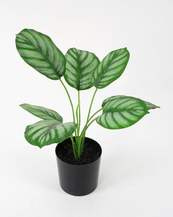 Artificial Plant 27*27*29cm Anthurium in pot GS-14521093 Potted Flowers&Plants YeahFlower is one of Chinese leading OEM manufacturers and exporters , supplying the silk flowers, wholesale artificial trees