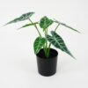 Artificial Plant 32*27*29cm Arrow lvs * 7 in pot GS-14521098 Potted Flowers&Plants YeahFlower is one of Chinese leading OEM manufacturers and exporters , supplying the silk flowers, wholesale artificial trees