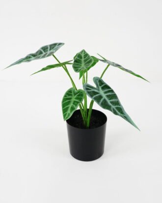 Artificial Plant 32*27*29cm Arrow lvs * 7 in pot GS-14521098 Potted Flowers&Plants YeahFlower is one of Chinese leading OEM manufacturers and exporters , supplying the silk flowers, wholesale artificial trees