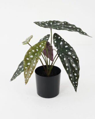 Artificial Plant 29*28*30cm Begonia bush * 7 in pot GS-14521097 Potted Flowers&Plants YeahFlower is one of Chinese leading OEM manufacturers and exporters , supplying the silk flowers, wholesale artificial trees