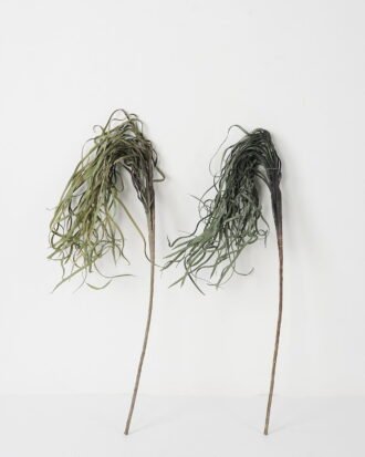 Artificial Plant 21*77cm Dried grass accessory GS-30021004 Dried Flowers YeahFlower is one of Chinese leading OEM manufacturers and exporters , supplying the silk flowers, wholesale artificial trees