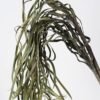 Artificial Plant 21*77cm Dried grass accessory GS-30021004 Dried Flowers YeahFlower is one of Chinese leading OEM manufacturers and exporters , supplying the silk flowers, wholesale artificial trees