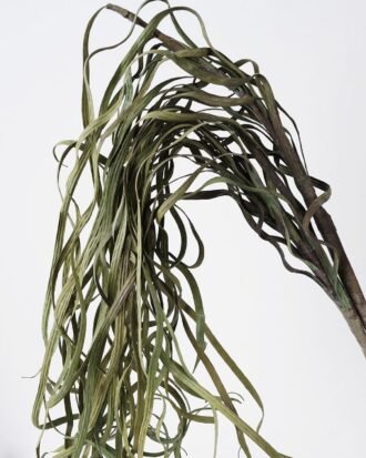 Artificial Plant 21*77cm Dried grass accessory GS-30021004 Dried Flowers YeahFlower is one of Chinese leading OEM manufacturers and exporters , supplying the silk flowers, wholesale artificial trees