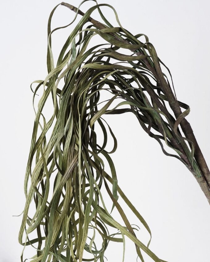 Artificial Plant 21*77cm Dried grass accessory GS-30021004 Dried Flowers YeahFlower is one of Chinese leading OEM manufacturers and exporters , supplying the silk flowers, wholesale artificial trees