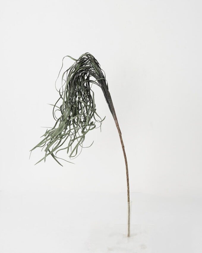 Artificial Plant 21*77cm Dried grass accessory GS-30021004 Dried Flowers YeahFlower is one of Chinese leading OEM manufacturers and exporters , supplying the silk flowers, wholesale artificial trees