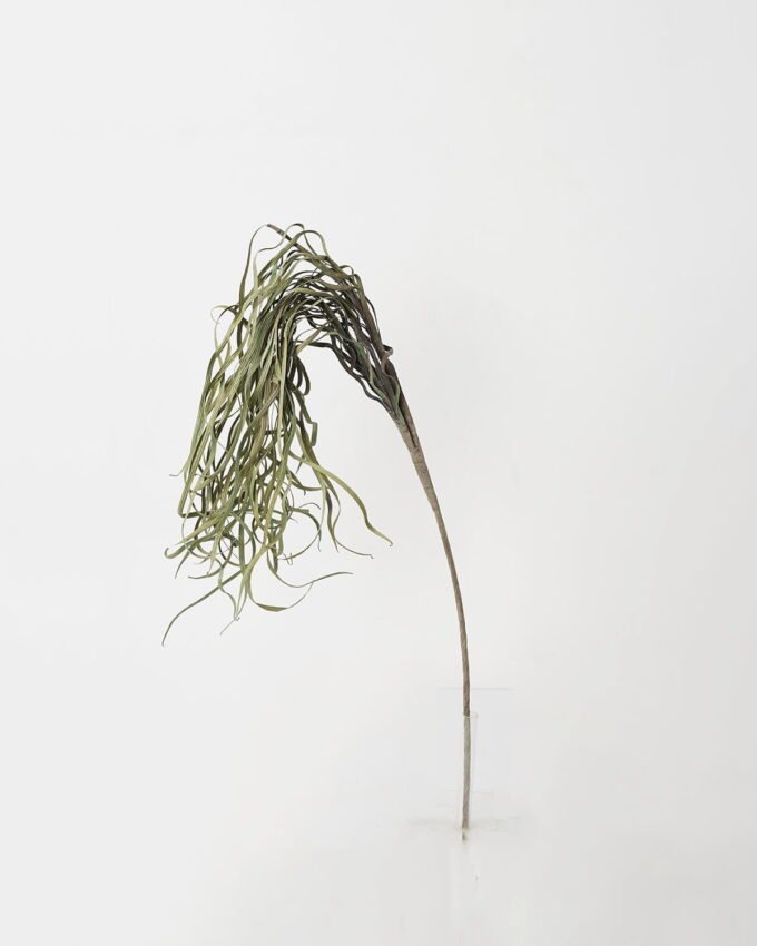 Artificial Plant 21*77cm Dried grass accessory GS-30021004 Dried Flowers YeahFlower is one of Chinese leading OEM manufacturers and exporters , supplying the silk flowers, wholesale artificial trees