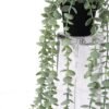 Artificial Plant Eucalyptus Garland in pe pot GS-05521175_4 Artificial Plant 20*20*50cm Eucalyptus Garland in pe pot GS-05521175 Banners&Garlands YeahFlower is one of Chinese leading OEM manufacturers and exporters , supplying the silk flowers, wholesale artificial trees