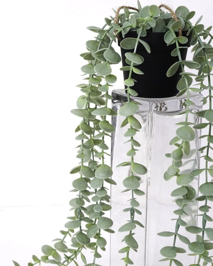 Artificial Plant Eucalyptus Garland in pe pot GS-05521175_4 Artificial Plant 20*20*50cm Eucalyptus Garland in pe pot GS-05521175 Banners&Garlands YeahFlower is one of Chinese leading OEM manufacturers and exporters , supplying the silk flowers, wholesale artificial trees