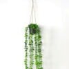 Artificial Plant Eucalyptus Garland in pe pot GS-05521175_5 Artificial Plant 20*20*50cm Eucalyptus Garland in pe pot GS-05521175 Banners&Garlands YeahFlower is one of Chinese leading OEM manufacturers and exporters , supplying the silk flowers, wholesale artificial trees