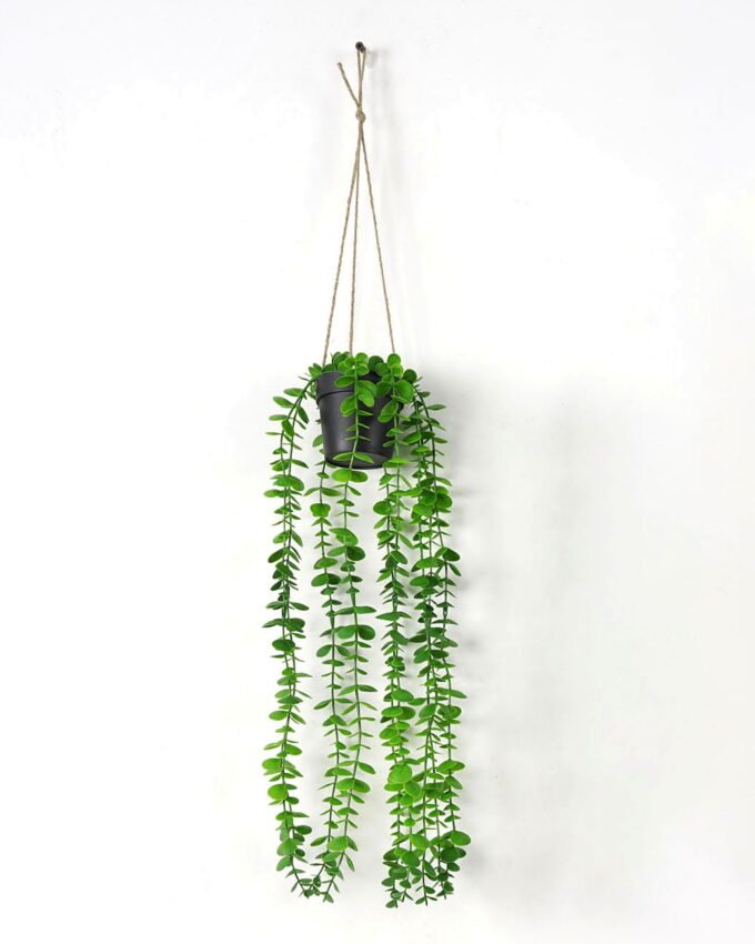 Artificial Plant Eucalyptus Garland in pe pot GS-05521175_5 Artificial Plant 20*20*50cm Eucalyptus Garland in pe pot GS-05521175 Banners&Garlands YeahFlower is one of Chinese leading OEM manufacturers and exporters , supplying the silk flowers, wholesale artificial trees