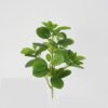 Artificial Plant 28*25*34cm Ficus elastica Bush*6 GS-51121003 Leaves&Sprays&Foliages YeahFlower is one of Chinese leading OEM manufacturers and exporters , supplying the silk flowers, wholesale artificial trees