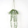 Artificial Plant Grass Garland in melamine pot GS-05521182_3 Artificial Plant 15*15*48cm Grass Garland in melamine pot GS-05521182 Banners&Garlands YeahFlower is one of Chinese leading OEM manufacturers and exporters , supplying the silk flowers, wholesale artificial trees