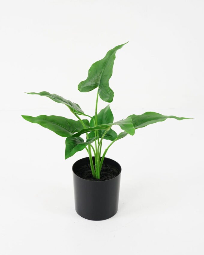 Artificial Plant 27*32*33cm Leaves in pot GS-14521094 Potted Flowers&Plants YeahFlower is one of Chinese leading OEM manufacturers and exporters , supplying the silk flowers, wholesale artificial trees